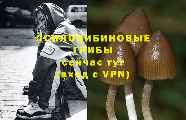 mdpv Володарск