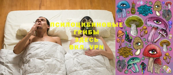 метадон Верея