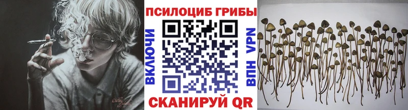 Псилоцибиновые грибы ЛСД  где купить   Волжский 