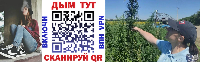 darknet наркотические препараты  Волжский  МАРИХУАНА сатива 